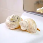 Appartamento Luxury *